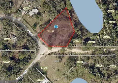 31825 Lake Drive Eustis FL 32736