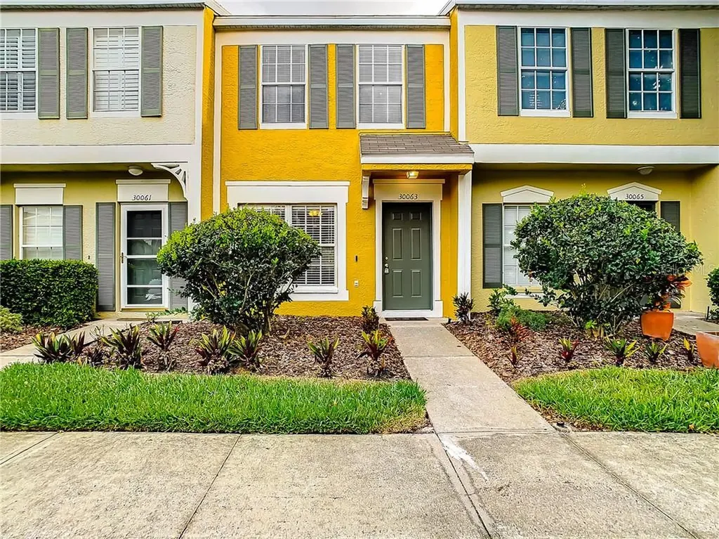 30063 Granda Hills Court Wesley Chapel FL 33543