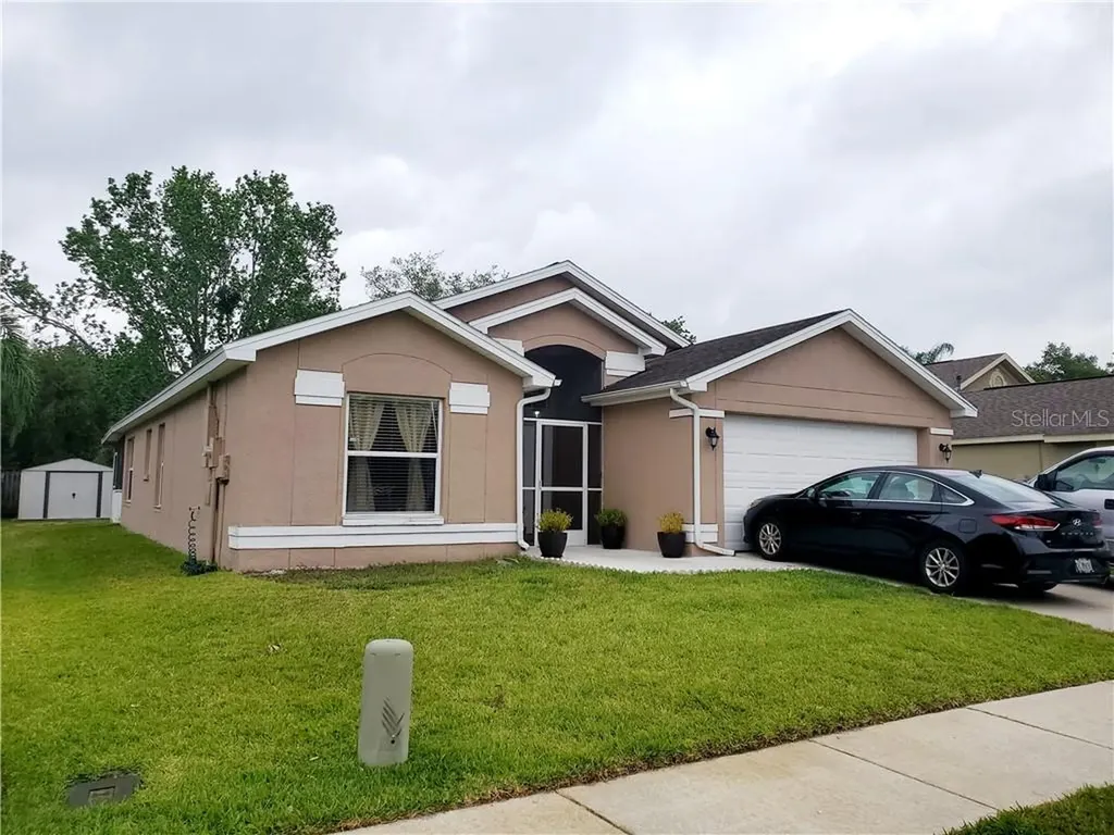 28445 Tall Grass Drive Wesley Chapel FL 33543