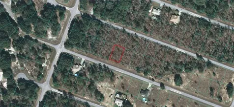 00 Malauka Radial Ocklawaha FL 32179