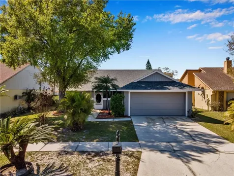 7110 Hollowell Drive Tampa FL 33634