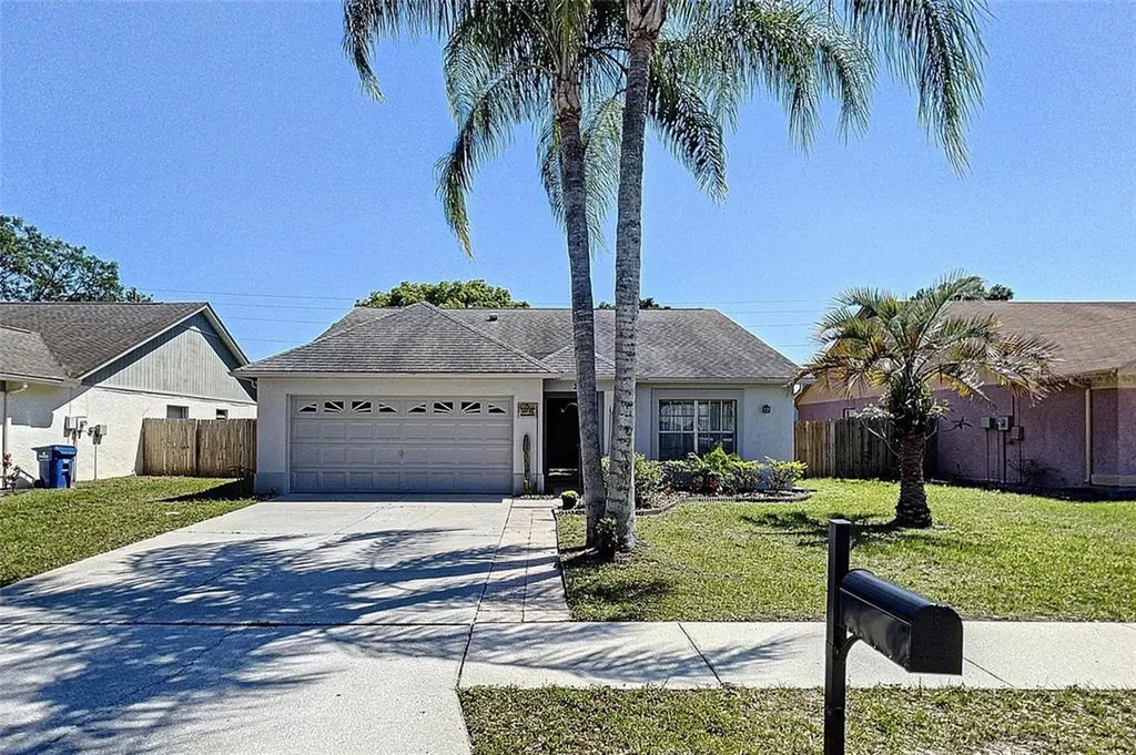 24734 Silversmith Drive Lutz FL 33559