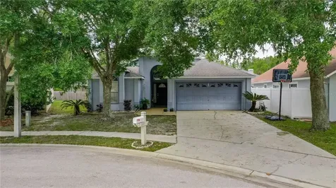29229 Birds Eye Drive Wesley Chapel FL 33543