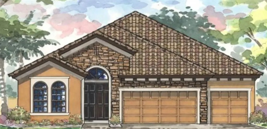 3002 Silva Wood Drive Valrico FL 33596