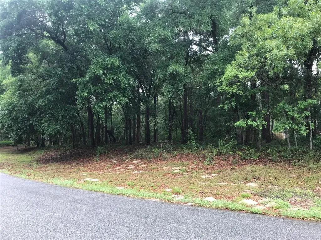 133 Piney Woods Road Apopka FL 32703