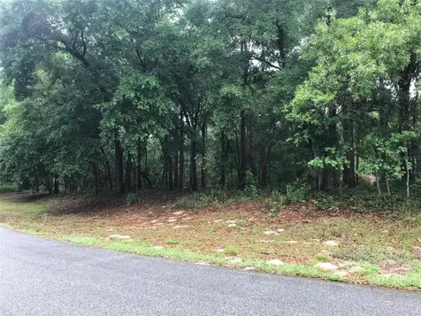 133 Piney Woods Road Apopka FL 32703