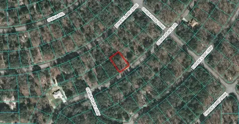 00 Guava Place Drive Ocklawaha FL 32179