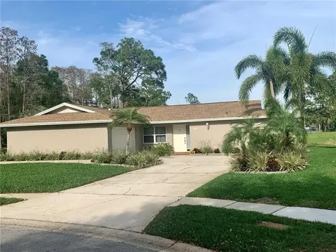 3553 Fairway Forest Drive Palm Harbor FL 34685