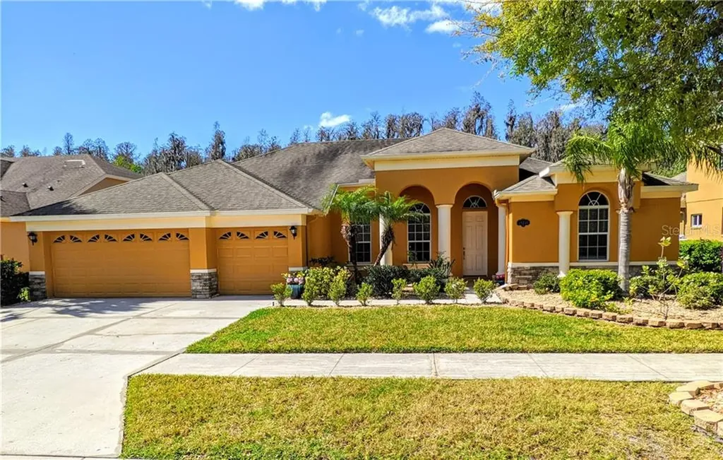 19236 Climbing Aster Drive Tampa FL 33647