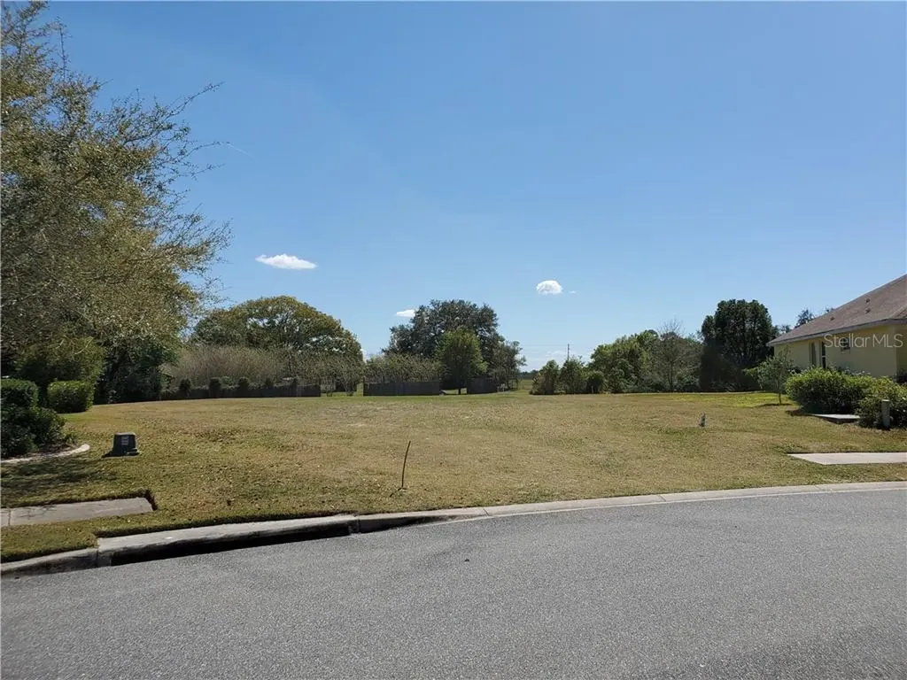 3020 New Haven Place Mount Dora FL 32757