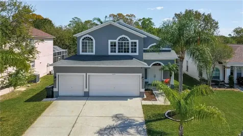 1641 Gray Bark Drive Oldsmar FL 34677