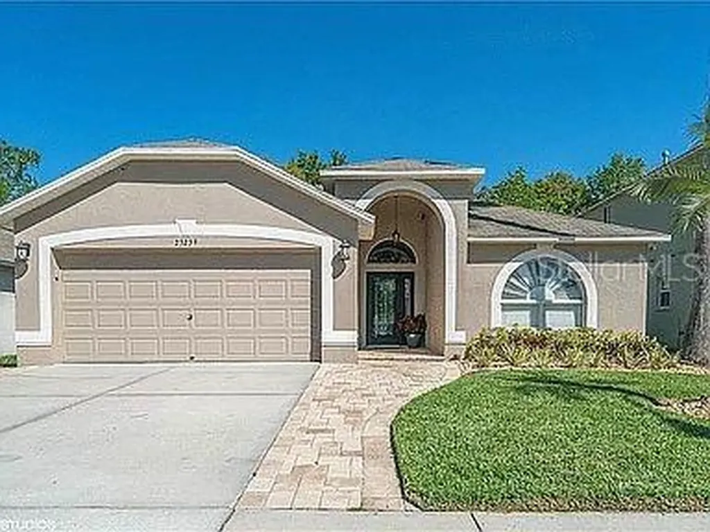 25239 Geddy Drive Land O Lakes FL 34639