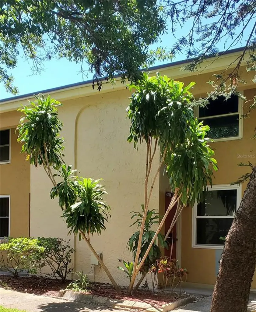 4208 La Dega Court Tampa FL 33611