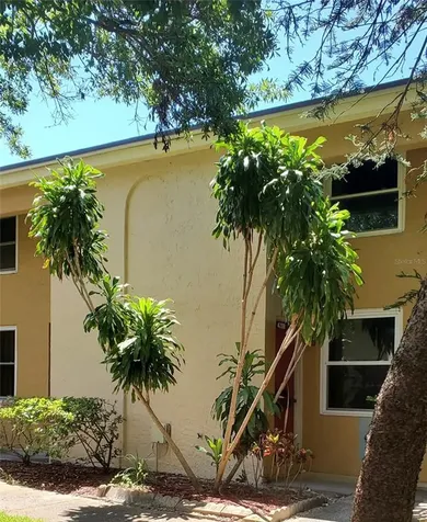 4208 La Dega Court Tampa FL 33611