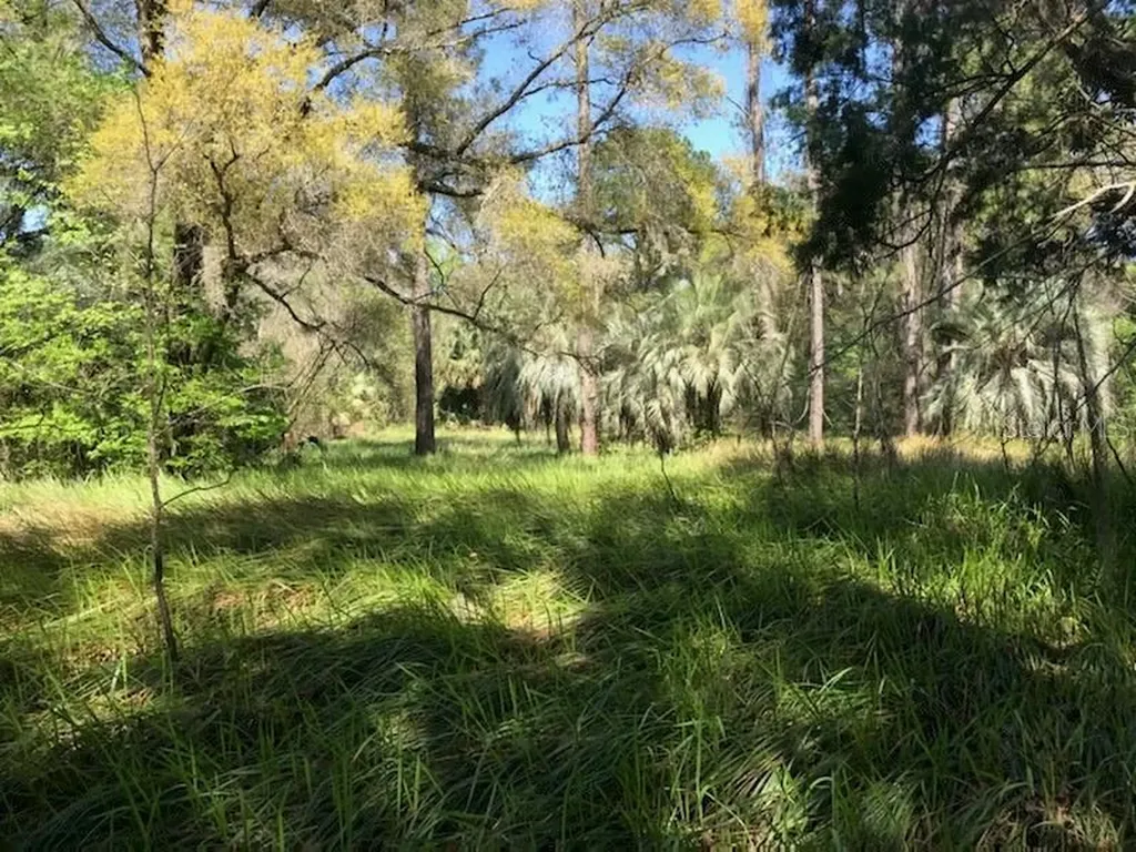 4673 SE 115th Street Belleview FL 34420