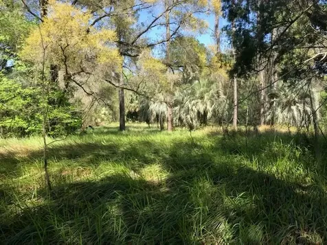 4673 SE 115th Street Belleview FL 34420