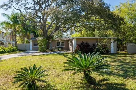 8506 N Gomez Avenue Tampa FL 33614