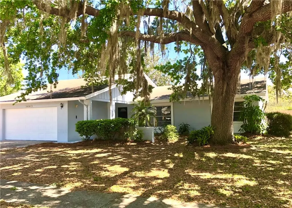 14101 Bardsdale Lane Tampa FL 33625