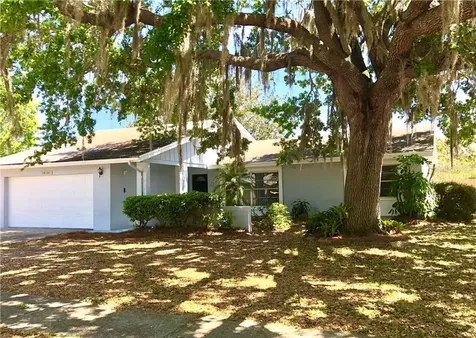 14101 Bardsdale Lane Tampa FL 33625