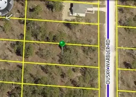 15145 Dusky Warbler Road Weeki Wachee FL 34614