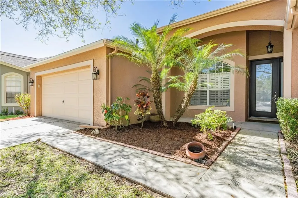 19132 Dove Creek Drive Tampa FL 33647