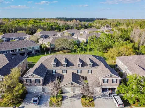 11121 Windsor Place Circle Tampa FL 33626