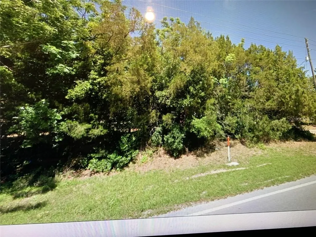 10500 SE Highway 464c Ocklawaha FL 32179