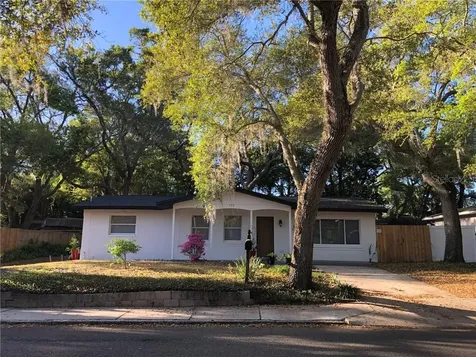 324 Drive Mill King Jr Street N Safety Harbor FL 34695