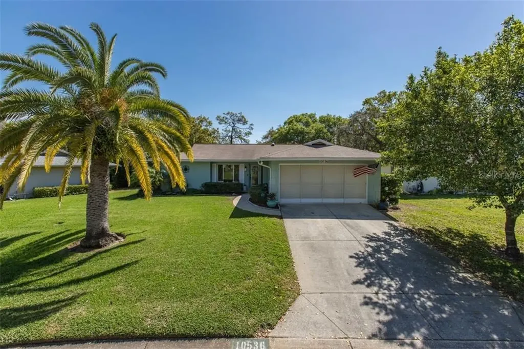 10536 Mira Vista Drive Port Richey FL 34668