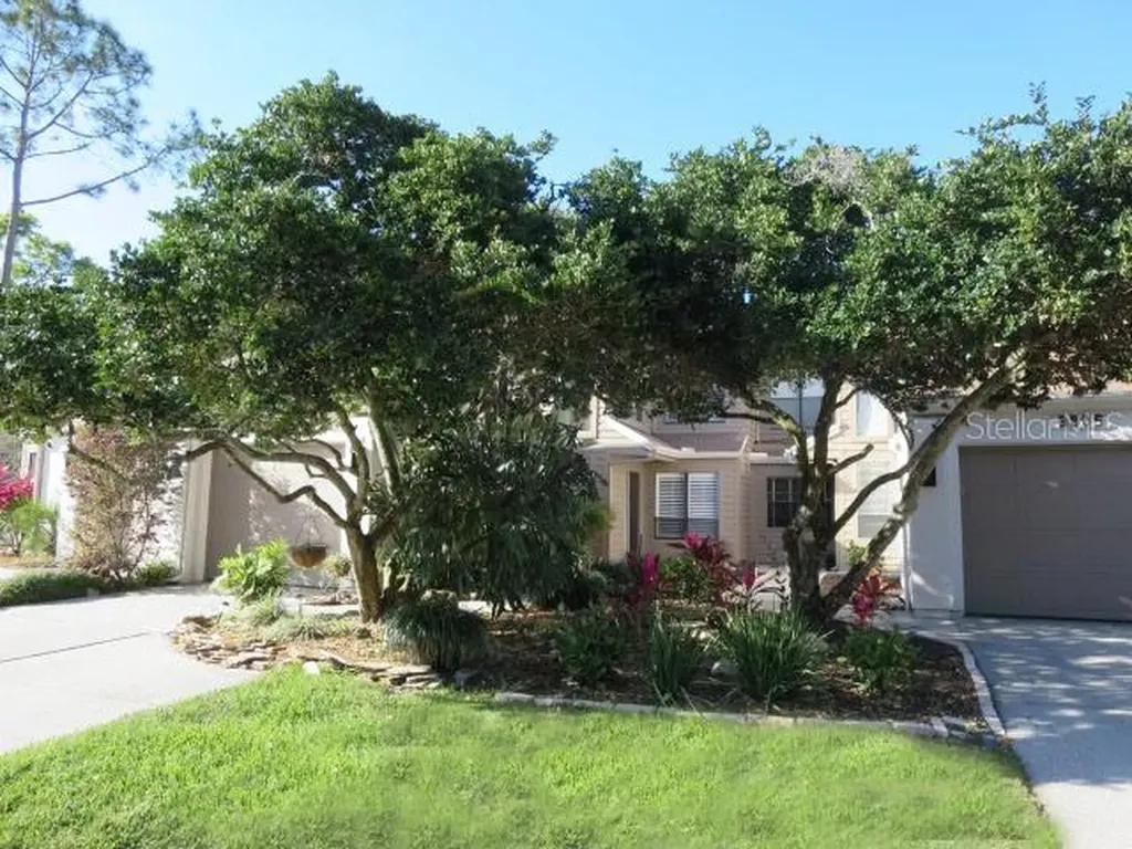 3807 Esplanade Court Tampa FL 33618