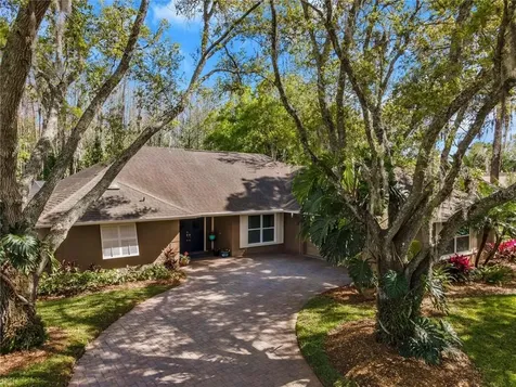 4206 Carrollwood Village Drive Tampa FL 33618