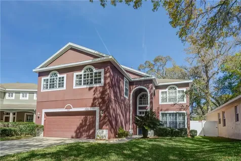 7309 Brightwater Oaks Drive Tampa FL 33625