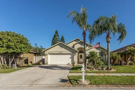 22823 Richardson Lane Land O Lakes FL 34639