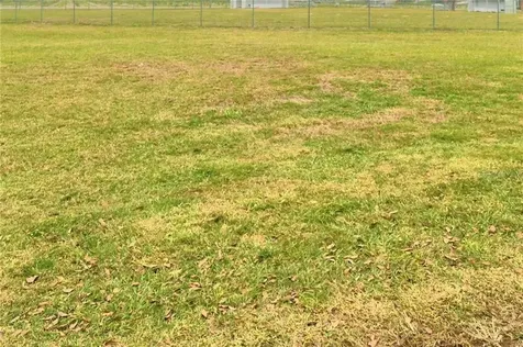 312 5th Street S Dundee FL 33838