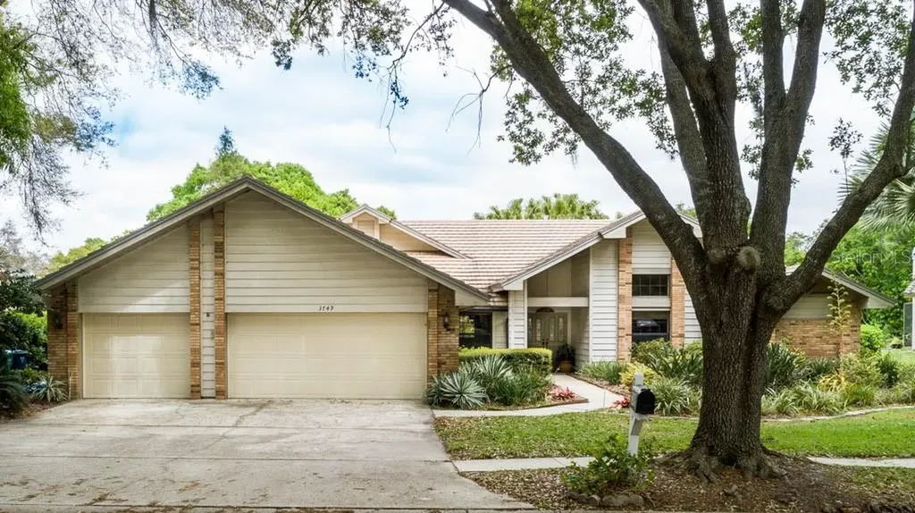 3749 Woodridge Place Palm Harbor FL 34684