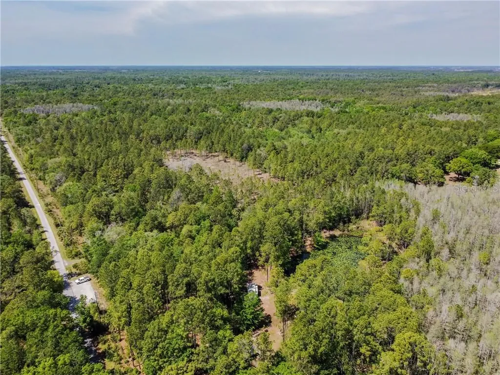 25653 Queen Sago Place Wesley Chapel FL 33544
