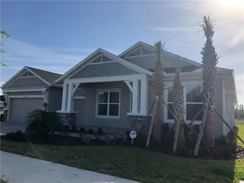 3929 Tour Trace Land O Lakes FL 34638