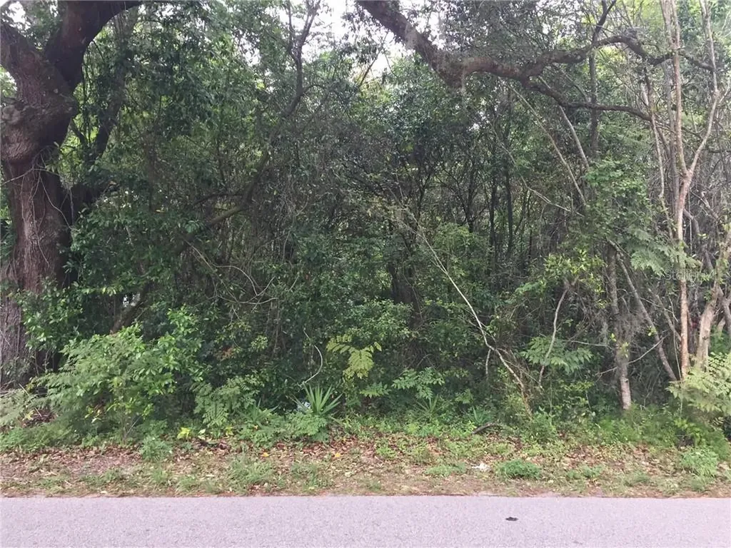 619 E Kentucky Avenue Deland FL 32724