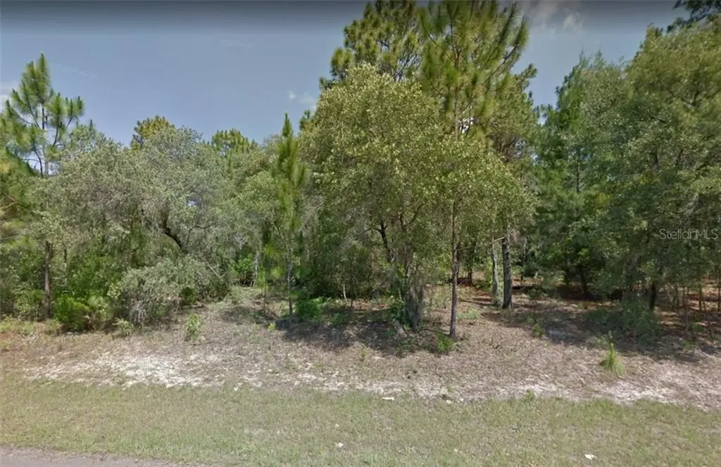 3173 W Babcock Place Citrus Springs FL 34433