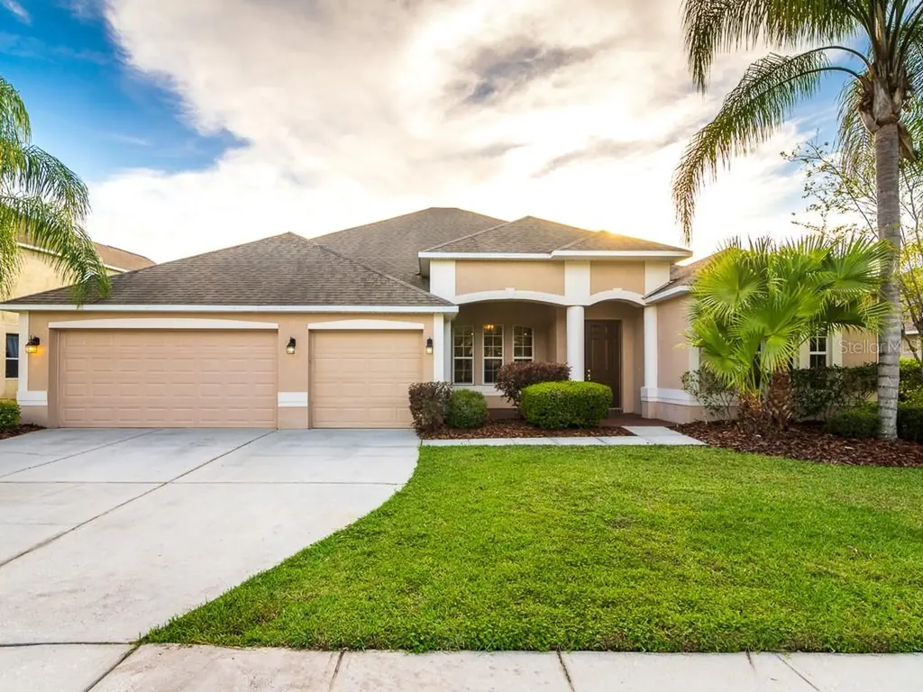 26525 Shoregrass Drive Wesley Chapel FL 33544