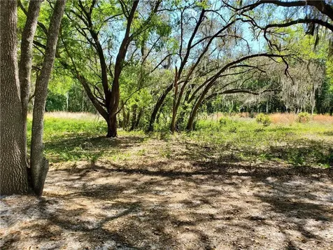4030 Shady Meadow Drive Plant City FL 33567