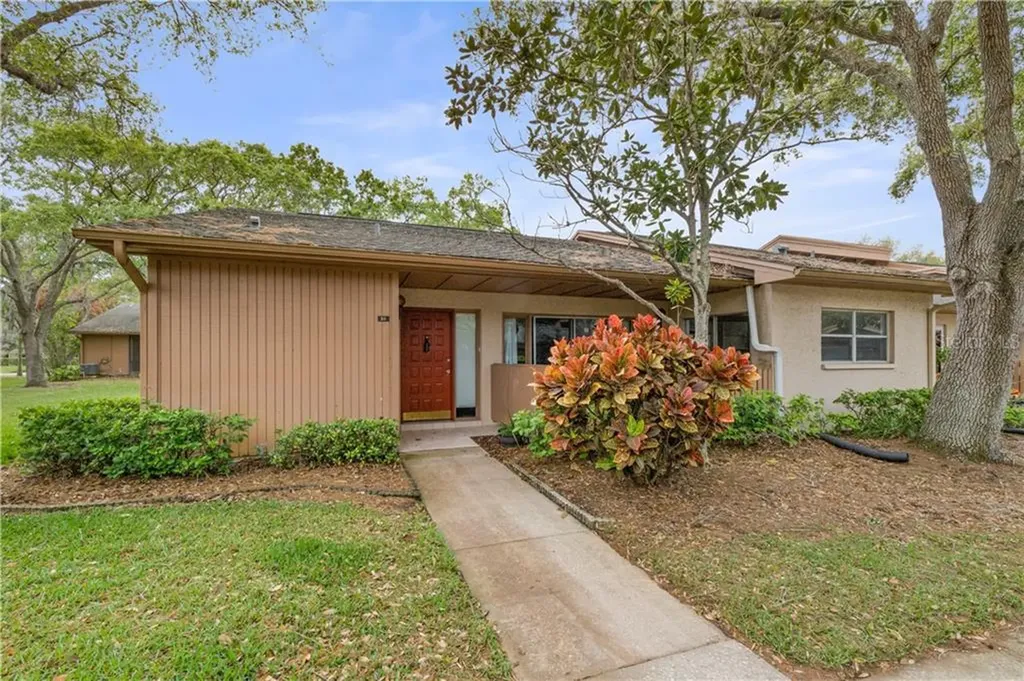 50 Lance Court Oldsmar FL 34677
