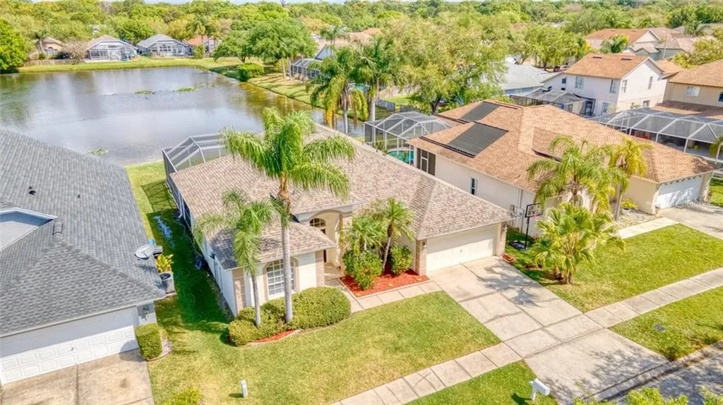 10041 Oasis Palm Drive Tampa FL 33615