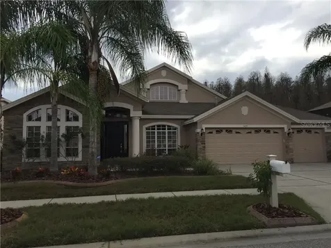 1439 Salmonberry Street Wesley Chapel FL 33543