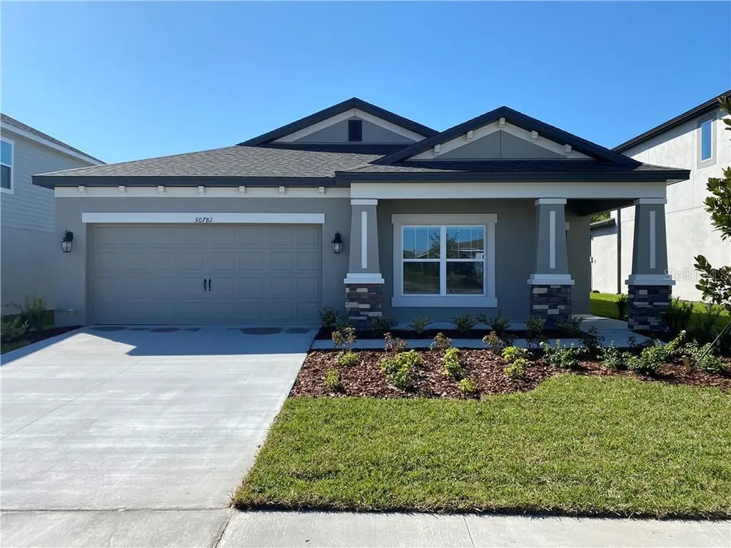 30781 Parrot Reef Court Wesley Chapel FL 33545