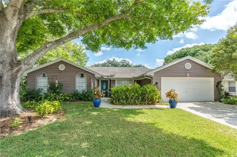 10330 Ashley Oaks Drive Riverview FL 33578