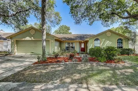 10407 Tara Drive Riverview FL 33578
