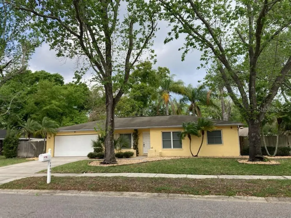 4209 Briarberry Lane Tampa FL 33624