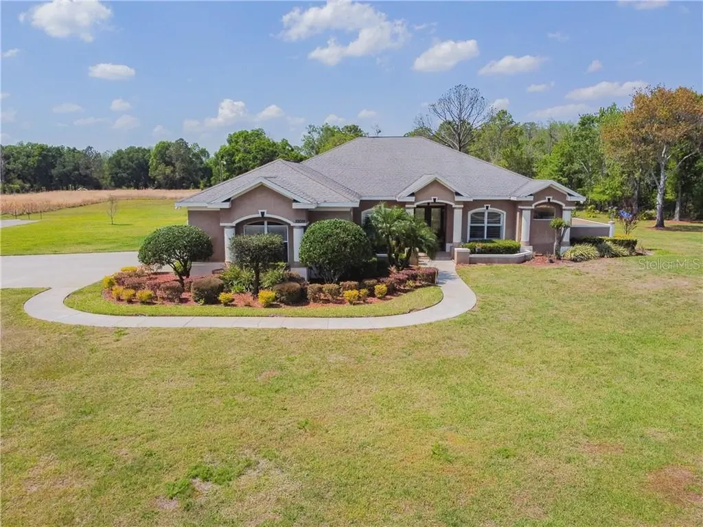 10019 Outlaw Way Land O Lakes FL 34639