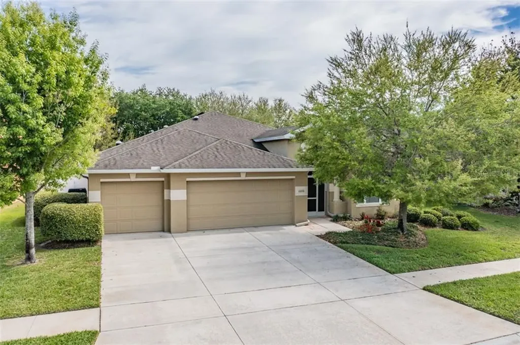 6226 Tigerflower Court Land O Lakes FL 34639